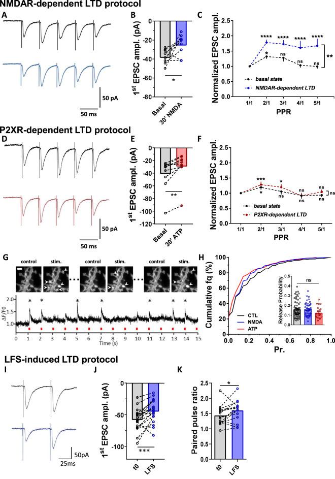 https://cdn.ncbi.nlm.nih.gov/pmc/blobs/18f7/8121912/dd6d4bb5785e/41467_2021_23133_Fig6_HTML.jpg