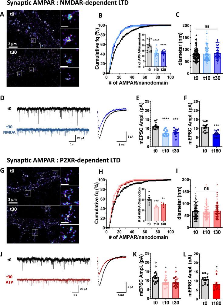 https://cdn.ncbi.nlm.nih.gov/pmc/blobs/18f7/8121912/e08f5d3001c2/41467_2021_23133_Fig1_HTML.jpg