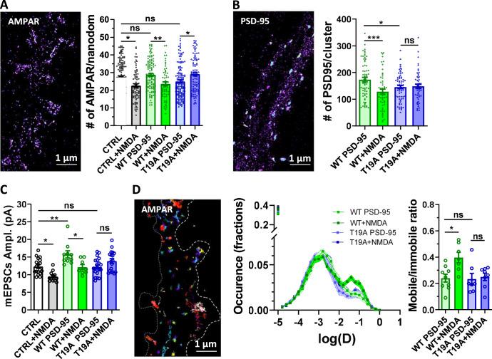 https://cdn.ncbi.nlm.nih.gov/pmc/blobs/18f7/8121912/efd94ed80c5a/41467_2021_23133_Fig4_HTML.jpg