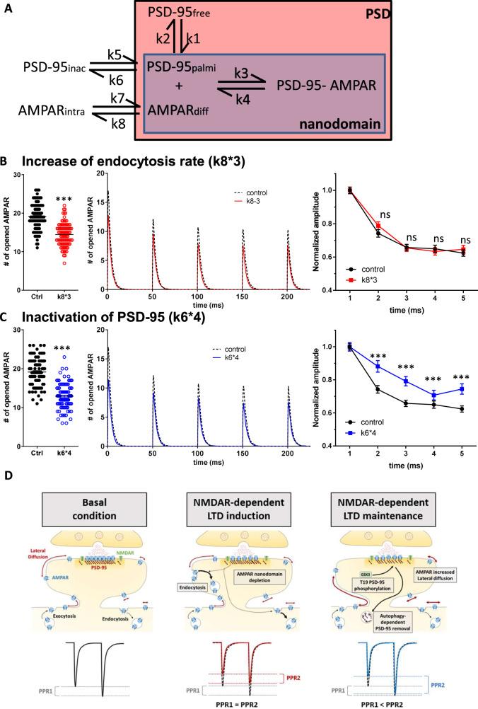 https://cdn.ncbi.nlm.nih.gov/pmc/blobs/18f7/8121912/f9245671ea95/41467_2021_23133_Fig7_HTML.jpg