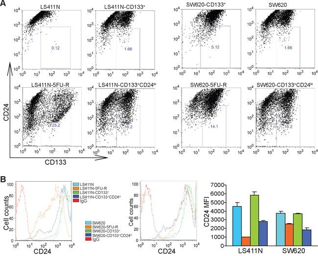 https://cdn.ncbi.nlm.nih.gov/pmc/blobs/18f8/5346671/8e6f6f322cd8/oncotarget-07-78698-g005.jpg