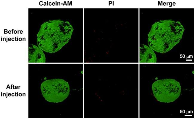 https://cdn.ncbi.nlm.nih.gov/pmc/blobs/18fd/11187498/512c3ef051d4/rbae064f6.jpg