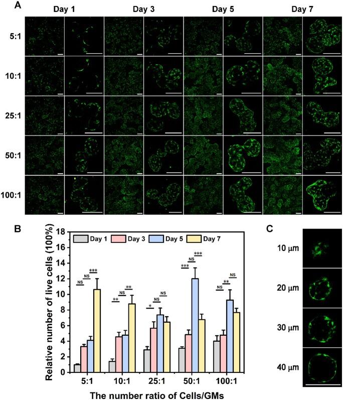 https://cdn.ncbi.nlm.nih.gov/pmc/blobs/18fd/11187498/5c4f6af9f2b8/rbae064f2.jpg