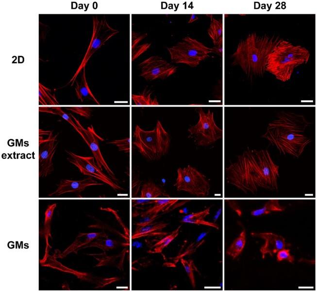 https://cdn.ncbi.nlm.nih.gov/pmc/blobs/18fd/11187498/eecbcc1d5bc8/rbae064f4.jpg