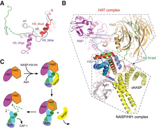 https://cdn.ncbi.nlm.nih.gov/pmc/blobs/18fe/9067401/6601a9b36b42/408f04.jpg