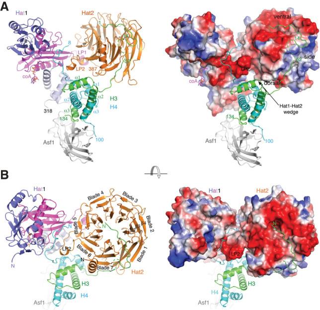 https://cdn.ncbi.nlm.nih.gov/pmc/blobs/18fe/9067401/7070e9252a5a/408f01.jpg