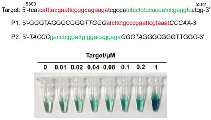 https://cdn.ncbi.nlm.nih.gov/pmc/blobs/18ff/8659037/2e413d430f23/molecules-26-07352-g006.jpg