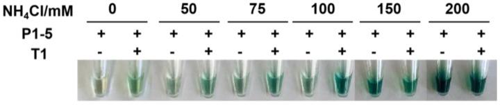 https://cdn.ncbi.nlm.nih.gov/pmc/blobs/18ff/8659037/9c8d02236691/molecules-26-07352-g001.jpg