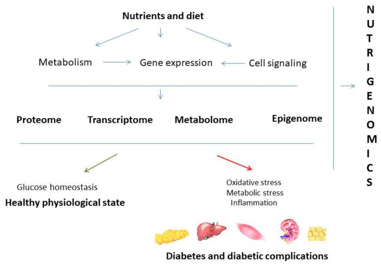 https://cdn.ncbi.nlm.nih.gov/pmc/blobs/1900/8003070/0ebd8bb11a45/antioxidants-10-00480-g001.jpg