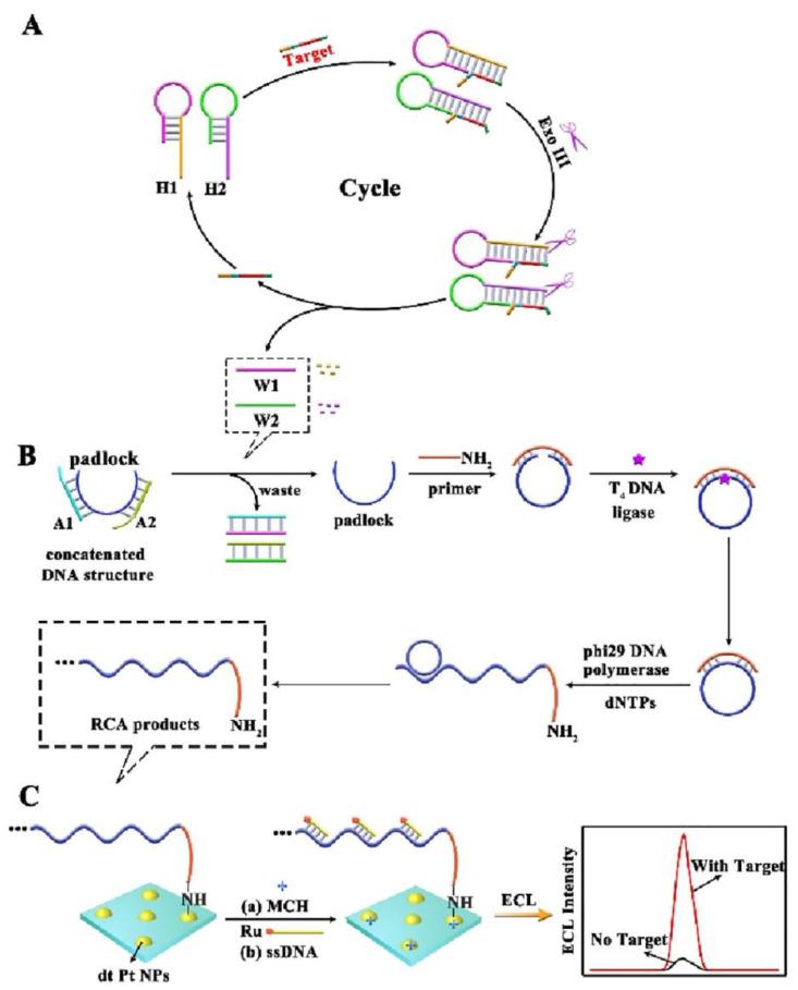 https://cdn.ncbi.nlm.nih.gov/pmc/blobs/1900/9496703/64f612f1cde3/biosensors-12-00750-g001.jpg