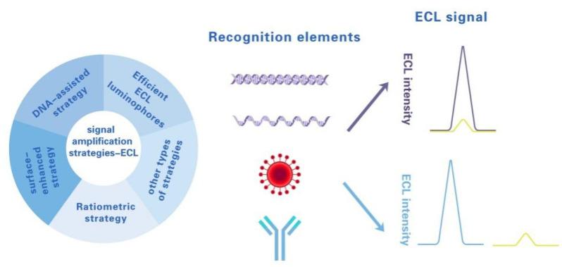 https://cdn.ncbi.nlm.nih.gov/pmc/blobs/1900/9496703/b89c5942cb09/biosensors-12-00750-sch001.jpg