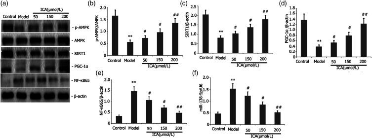 https://cdn.ncbi.nlm.nih.gov/pmc/blobs/1900/9926010/08b95c5200ee/10.1177_03946320231151515-fig3.jpg