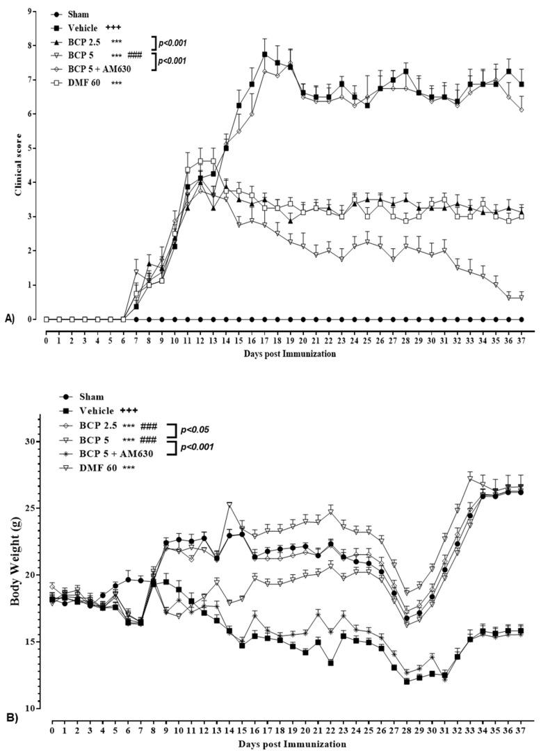 https://cdn.ncbi.nlm.nih.gov/pmc/blobs/1901/10377147/7511ffd73220/brainsci-13-01092-g002.jpg