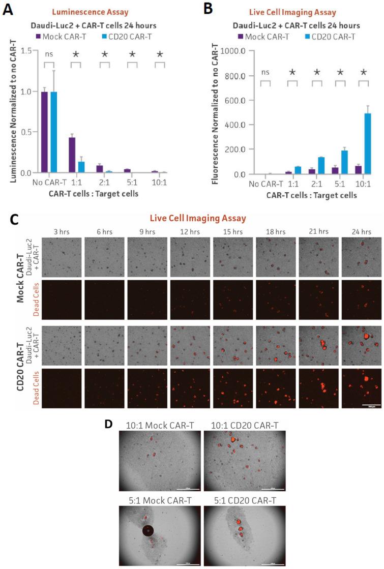 https://cdn.ncbi.nlm.nih.gov/pmc/blobs/1901/11274748/374322dd20a2/cancers-16-02497-g006.jpg