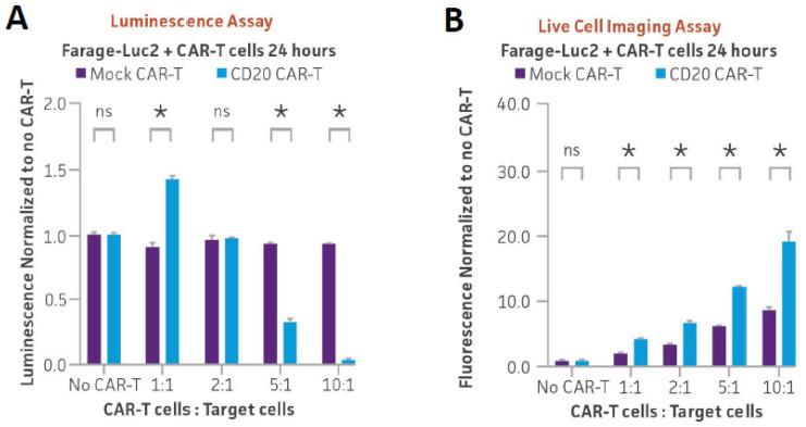 https://cdn.ncbi.nlm.nih.gov/pmc/blobs/1901/11274748/6d26d8c628a9/cancers-16-02497-g005a.jpg