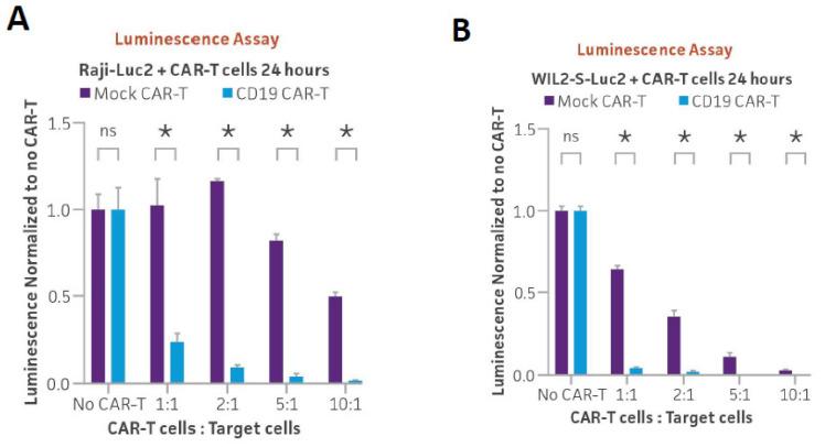 https://cdn.ncbi.nlm.nih.gov/pmc/blobs/1901/11274748/8c83a72cab75/cancers-16-02497-g003a.jpg