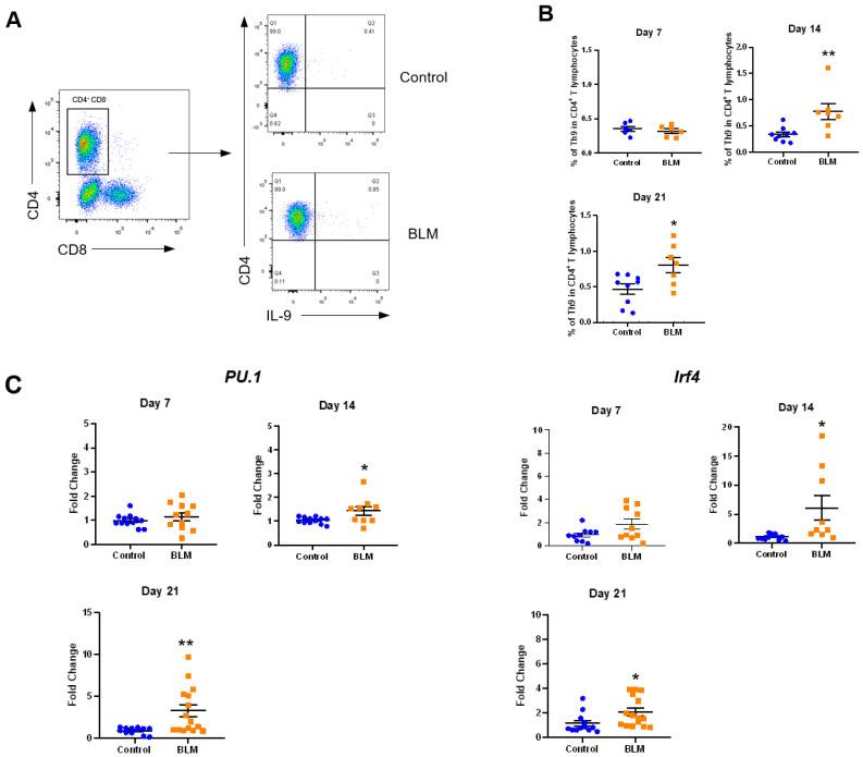 https://cdn.ncbi.nlm.nih.gov/pmc/blobs/1902/8621886/6f6ad71a3361/cells-10-03209-g002a.jpg