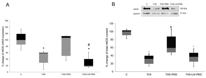 https://cdn.ncbi.nlm.nih.gov/pmc/blobs/1903/7866401/7ed0319a245e/ijms-22-01372-g001.jpg