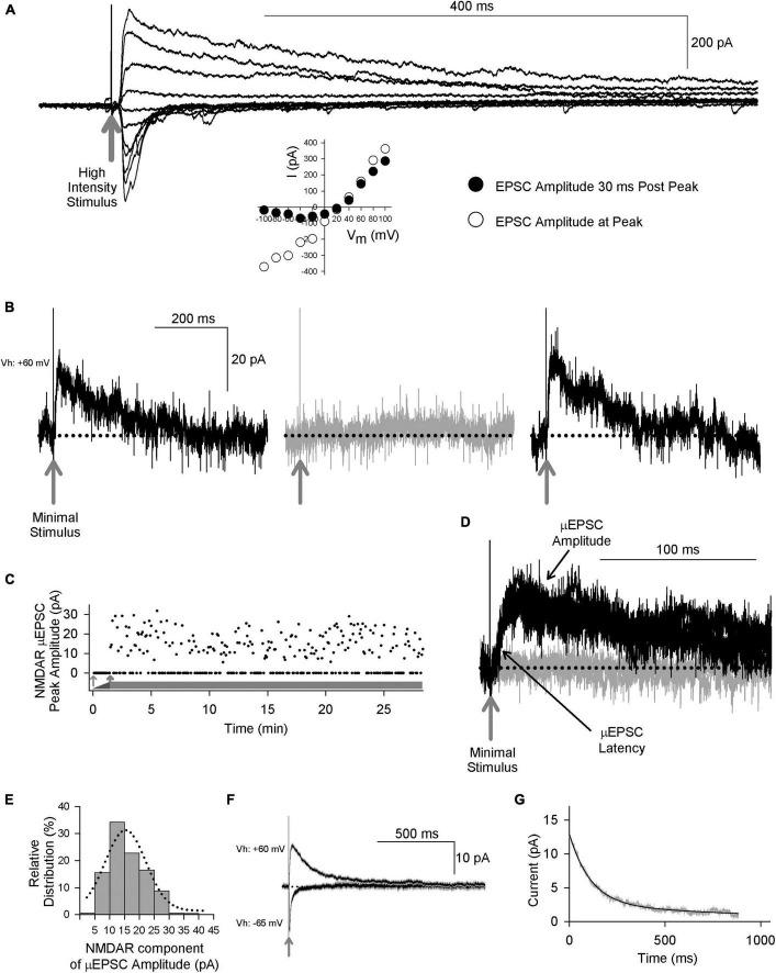 https://cdn.ncbi.nlm.nih.gov/pmc/blobs/1904/10368998/3a14974d45bb/fnsyn-15-1197174-g001.jpg