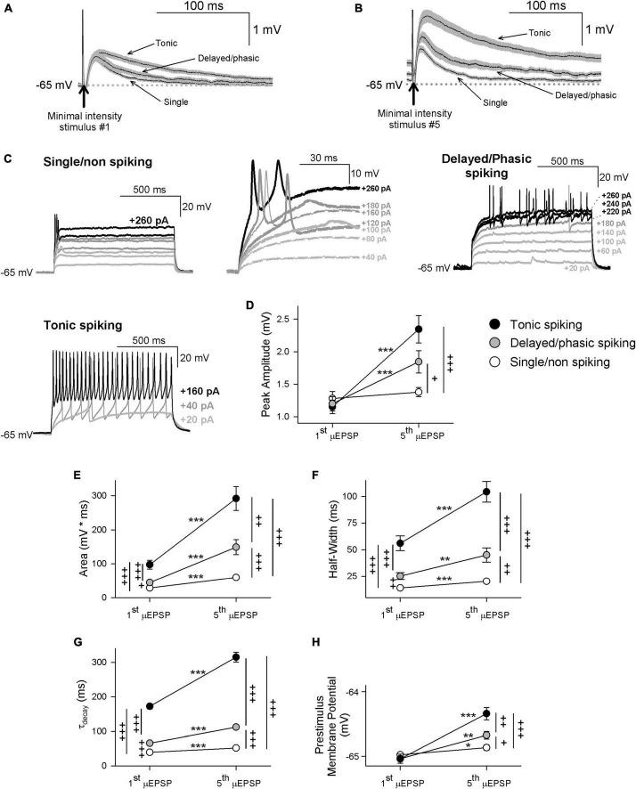 https://cdn.ncbi.nlm.nih.gov/pmc/blobs/1904/10368998/534665245b63/fnsyn-15-1197174-g004.jpg