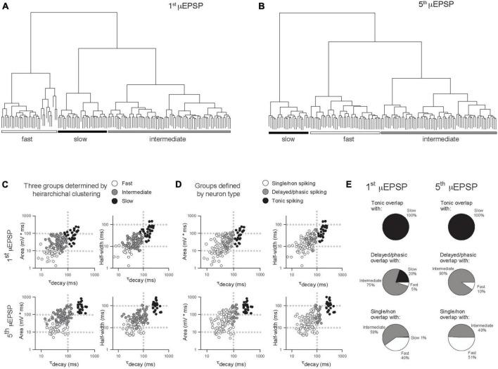 https://cdn.ncbi.nlm.nih.gov/pmc/blobs/1904/10368998/c67dbad6035f/fnsyn-15-1197174-g005.jpg