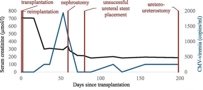 https://cdn.ncbi.nlm.nih.gov/pmc/blobs/1908/11175655/db1666f9bcf0/fmed-11-1394028-g001.jpg