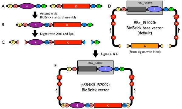 https://cdn.ncbi.nlm.nih.gov/pmc/blobs/1908/2373286/8015efd3fa0f/1754-1611-2-5-2.jpg