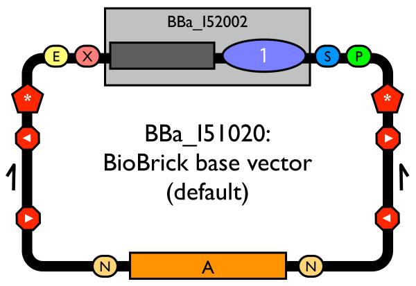 https://cdn.ncbi.nlm.nih.gov/pmc/blobs/1908/2373286/cd0b7bea6e27/1754-1611-2-5-1.jpg
