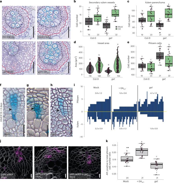 https://cdn.ncbi.nlm.nih.gov/pmc/blobs/1909/10119023/e91582c42635/41477_2023_1360_Fig1_HTML.jpg