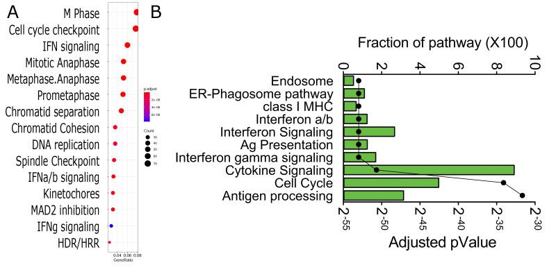 https://cdn.ncbi.nlm.nih.gov/pmc/blobs/190b/7912025/95a1d75b3d1f/viruses-13-00218-g005.jpg
