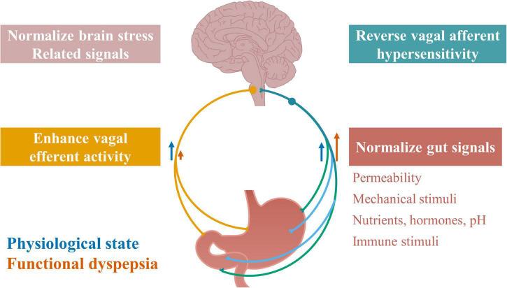 https://cdn.ncbi.nlm.nih.gov/pmc/blobs/190c/9072791/38b0b37d8d40/fnins-16-858612-g003.jpg