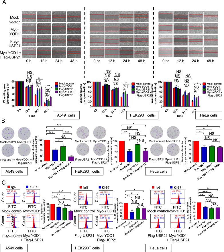 https://cdn.ncbi.nlm.nih.gov/pmc/blobs/1914/10518088/270850956690/12935_2023_3078_Fig5_HTML.jpg