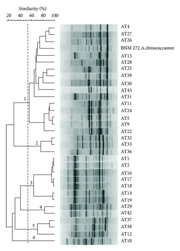 https://cdn.ncbi.nlm.nih.gov/pmc/blobs/1916/3835881/4942edb64ce2/TSWJ2013-519603.001.jpg