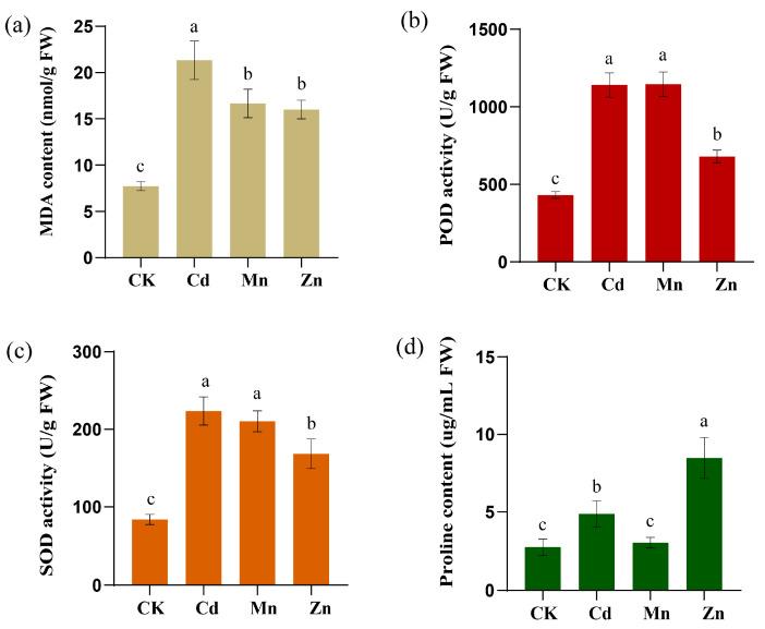https://cdn.ncbi.nlm.nih.gov/pmc/blobs/1918/12430476/14ea20e78672/plants-14-02660-g012.jpg