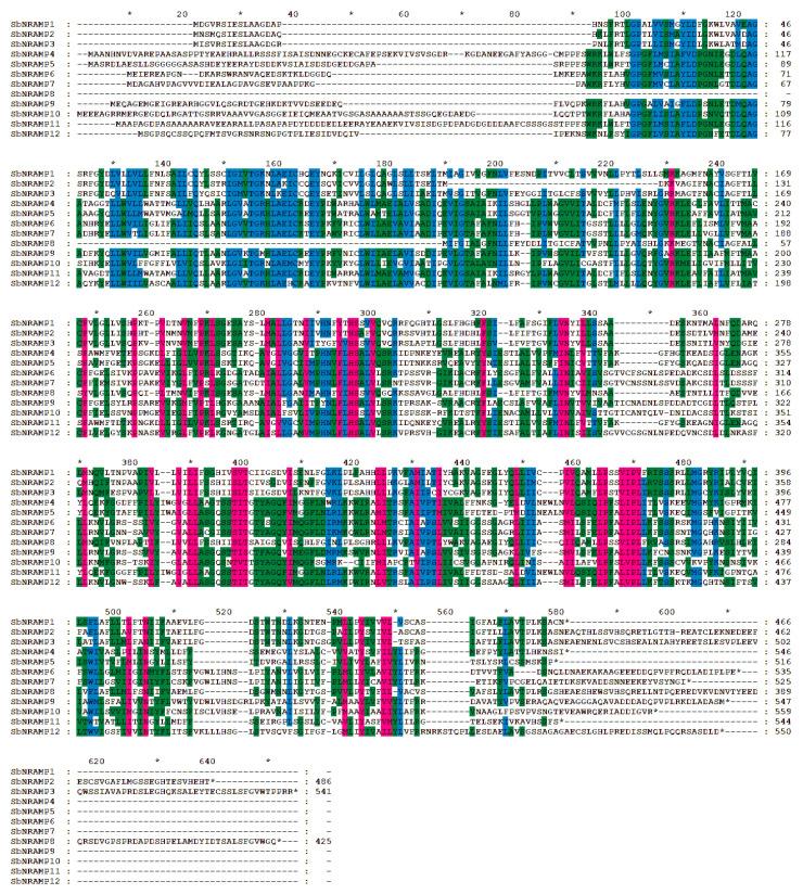 https://cdn.ncbi.nlm.nih.gov/pmc/blobs/1918/12430476/6d6ee03ea0e3/plants-14-02660-g0A2.jpg