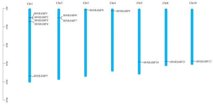 https://cdn.ncbi.nlm.nih.gov/pmc/blobs/1918/12430476/6ea2c92cfed3/plants-14-02660-g001.jpg