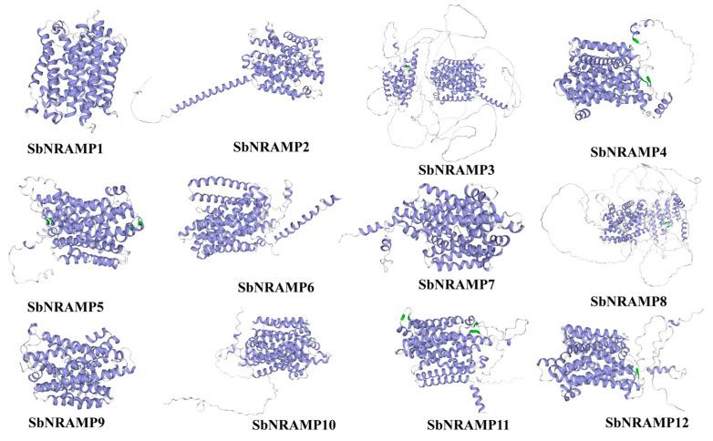 https://cdn.ncbi.nlm.nih.gov/pmc/blobs/1918/12430476/dbb93648867f/plants-14-02660-g0A1.jpg