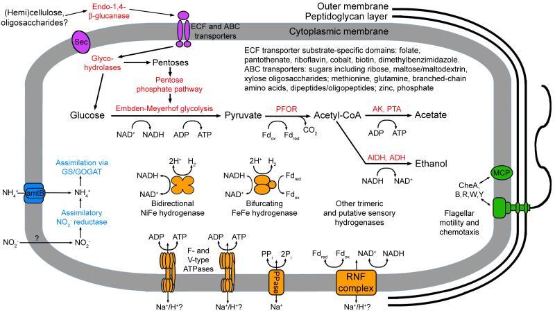 https://cdn.ncbi.nlm.nih.gov/pmc/blobs/191a/3878185/e1ead0f995c8/nihms-467752-f0004.jpg