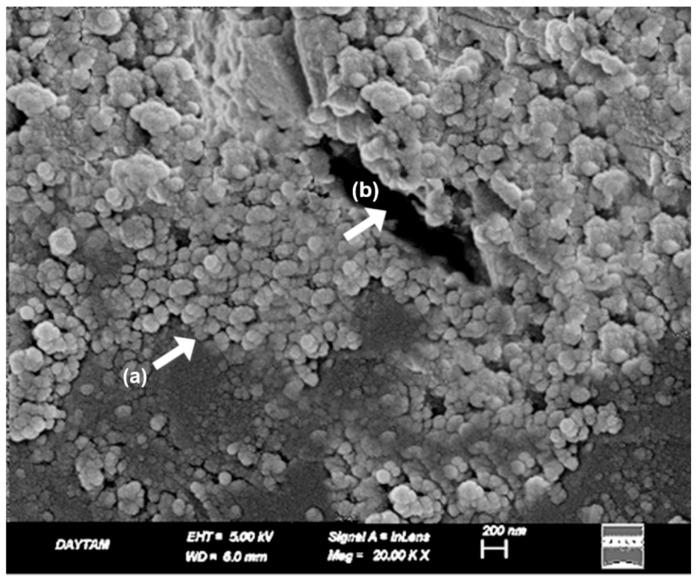 https://cdn.ncbi.nlm.nih.gov/pmc/blobs/191b/12157249/09bc569c34f3/polymers-17-01488-g015.jpg
