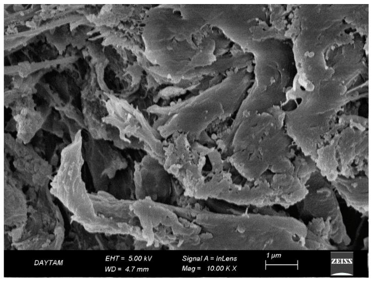 https://cdn.ncbi.nlm.nih.gov/pmc/blobs/191b/12157249/2f15944bfd08/polymers-17-01488-g014.jpg