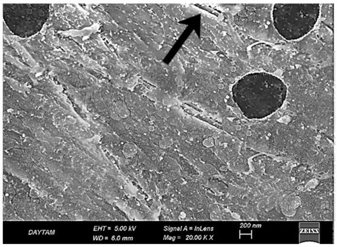 https://cdn.ncbi.nlm.nih.gov/pmc/blobs/191b/12157249/46007e86894b/polymers-17-01488-g009.jpg
