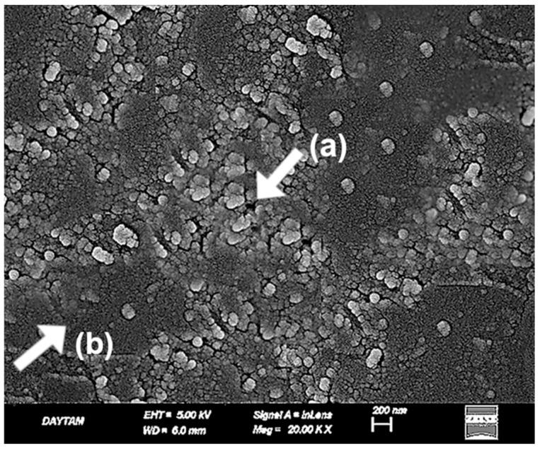 https://cdn.ncbi.nlm.nih.gov/pmc/blobs/191b/12157249/836db759e224/polymers-17-01488-g010.jpg