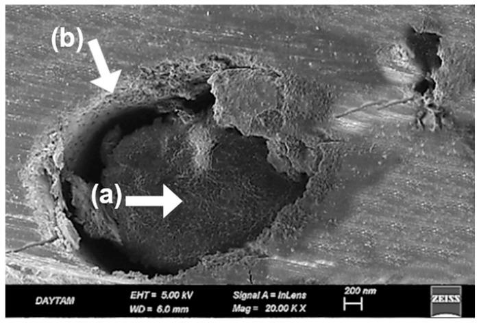 https://cdn.ncbi.nlm.nih.gov/pmc/blobs/191b/12157249/e3cecdf6aa41/polymers-17-01488-g013.jpg