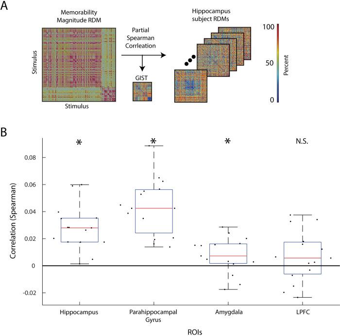https://cdn.ncbi.nlm.nih.gov/pmc/blobs/191c/10984539/dd1a46577061/pbio.3002564.g004.jpg