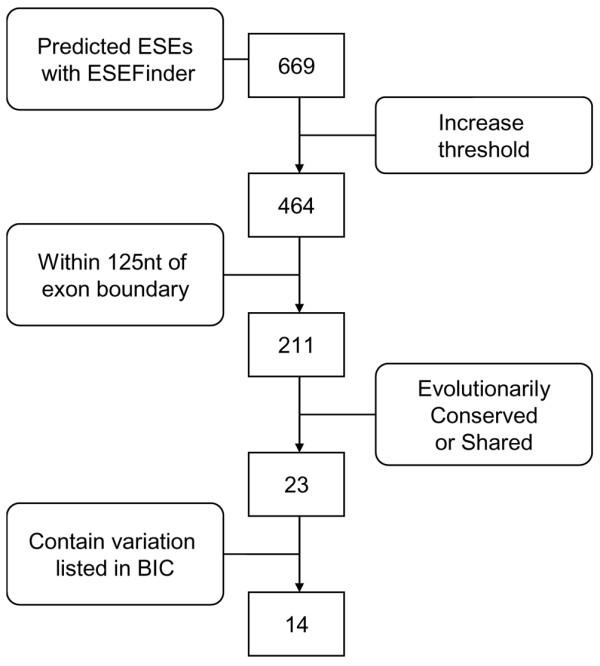 https://cdn.ncbi.nlm.nih.gov/pmc/blobs/191c/1410749/32263bbb58f3/bcr1324-2.jpg