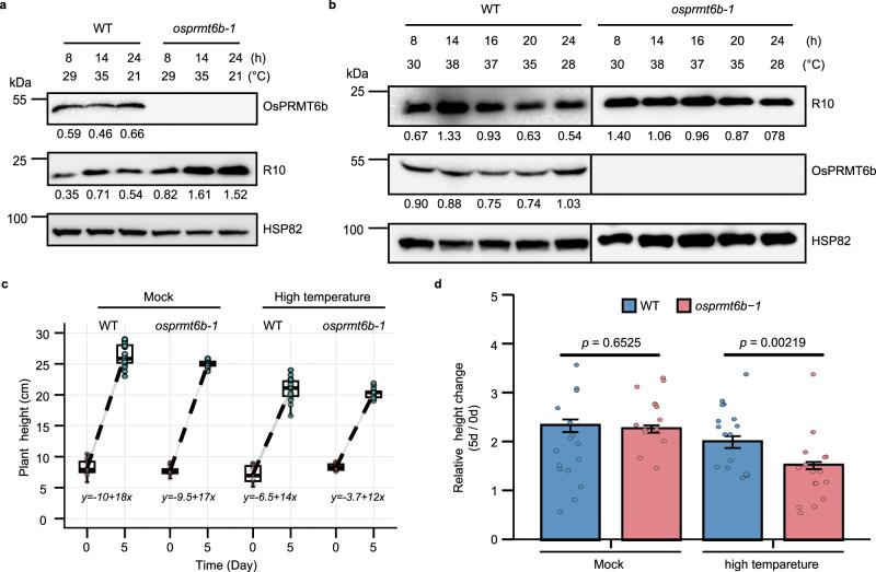 https://cdn.ncbi.nlm.nih.gov/pmc/blobs/191d/12137878/f8f31ccfd8cc/41467_2025_60350_Fig8_HTML.jpg