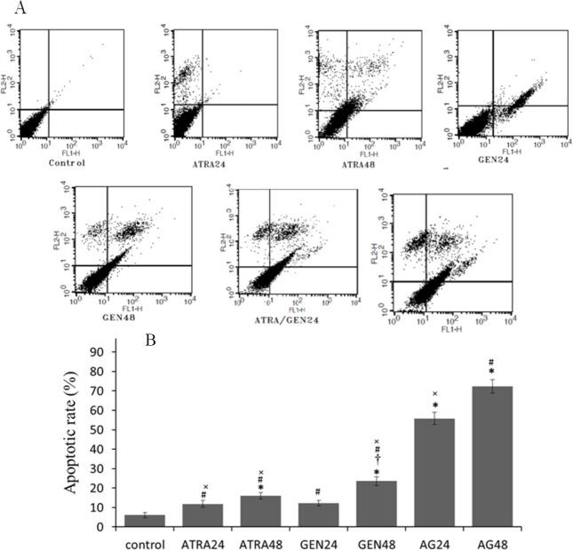 https://cdn.ncbi.nlm.nih.gov/pmc/blobs/191f/5168888/2c4d45bee972/RPS-11-505-g004.jpg