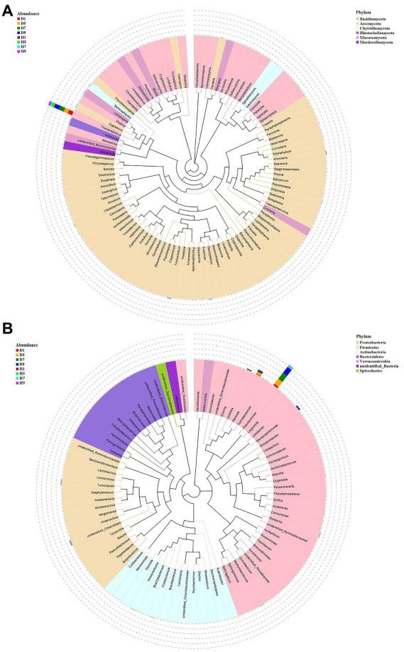 https://cdn.ncbi.nlm.nih.gov/pmc/blobs/191f/9846082/92e436492f78/fmicb-13-1081576-g005.jpg