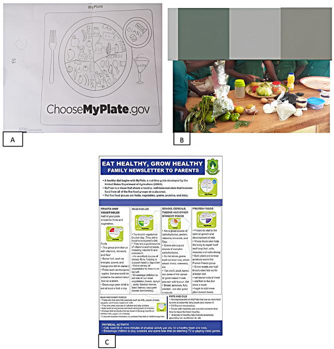 https://cdn.ncbi.nlm.nih.gov/pmc/blobs/1920/11218303/0b584f814389/12889_2024_19200_Fig1_HTML.jpg