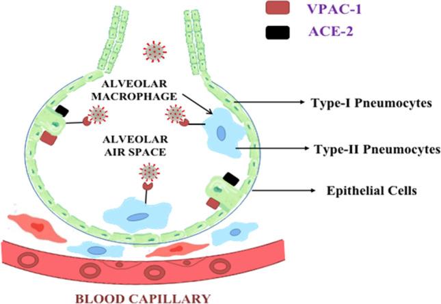 https://cdn.ncbi.nlm.nih.gov/pmc/blobs/1920/8630992/6939c68b8737/11356_2021_17824_Fig2_HTML.jpg